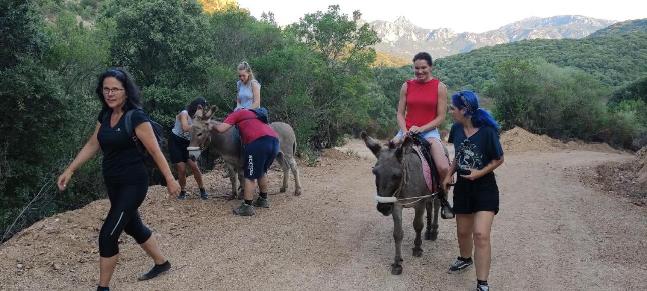 Agriturismo La Casa Delle Fate Loiri Porto San Paolo المظهر الخارجي الصورة