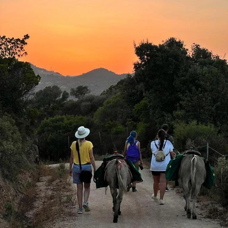 Agriturismo La Casa Delle Fate Loiri Porto San Paolo المظهر الخارجي الصورة